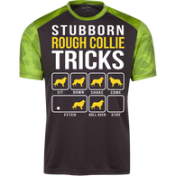 Collie Stubborn Tricks