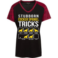 Cocker Spaniel Stubborn Tricks